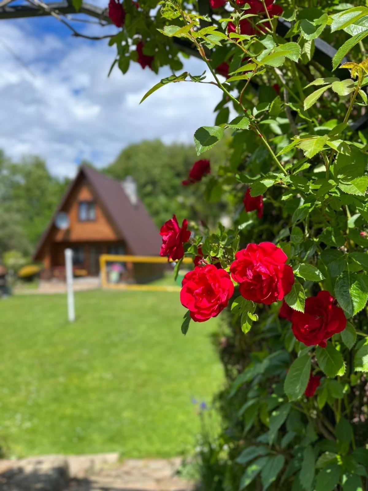 Domki Pod Skalka Baligrod Exterior photo